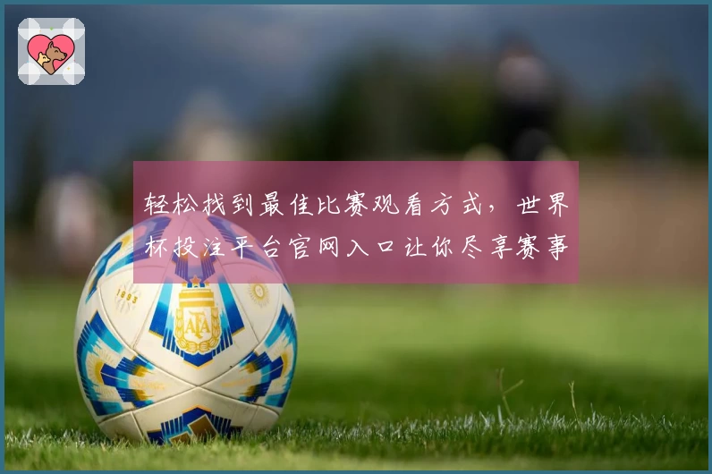 轻松找到最佳比赛观看方式，世界杯投注平台官网入口让你尽享赛事精彩
