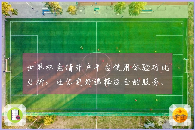 世界杯竞猜开户平台使用体验对比分析，让你更好选择适合的服务。