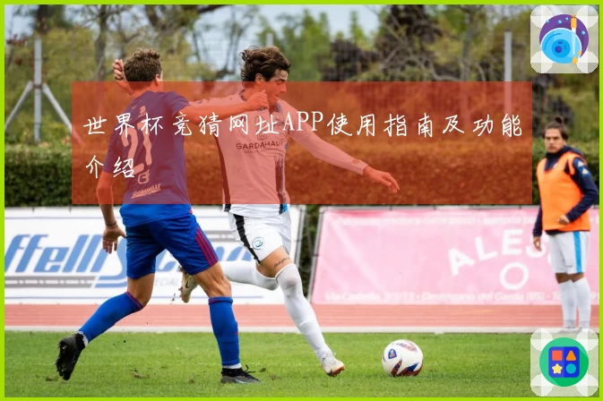 世界杯竞猜网址APP使用指南及功能介绍