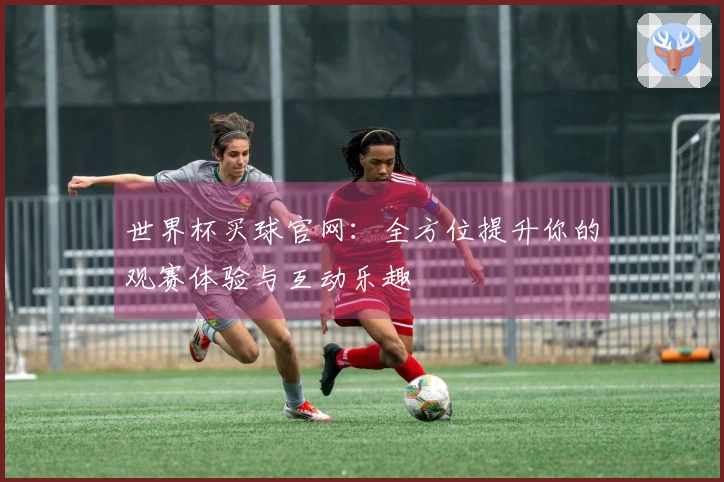 世界杯买球官网：全方位提升你的观赛体验与互动乐趣