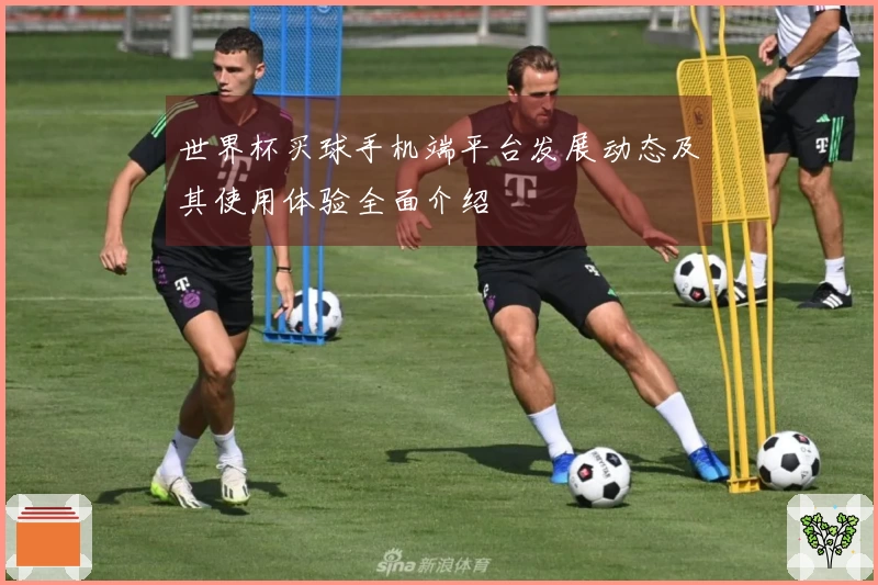 世界杯买球手机端平台发展动态及其使用体验全面介绍